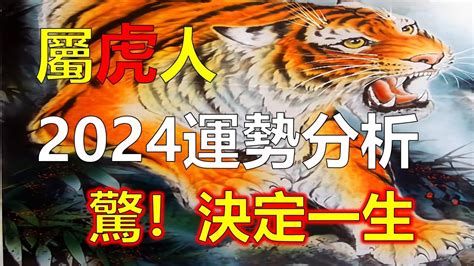 2024年屬豬運程|2024年龍年12生肖運程分析｜事業、感情、財運、健 